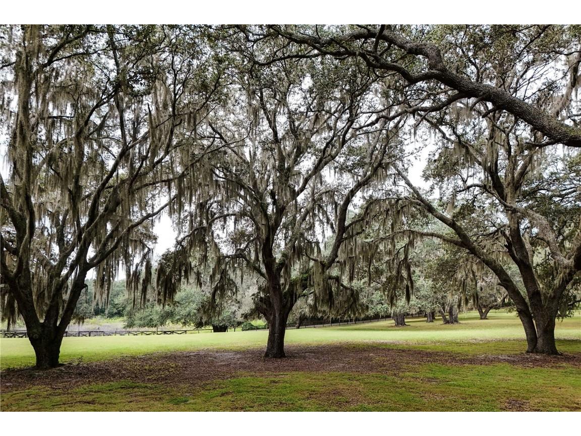 41812 Catbrier Lane Umatilla FL 32784 G5102848 image61