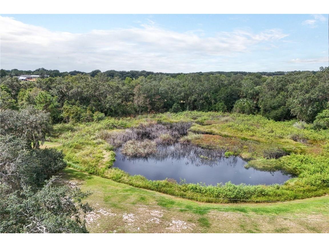 41812 Catbrier Lane Umatilla FL 32784 G5102848 image63