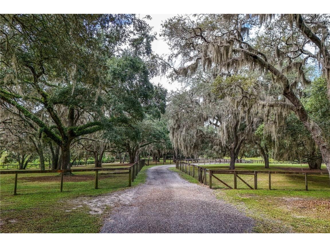 41812 Catbrier Lane Umatilla FL 32784 G5102848 image65