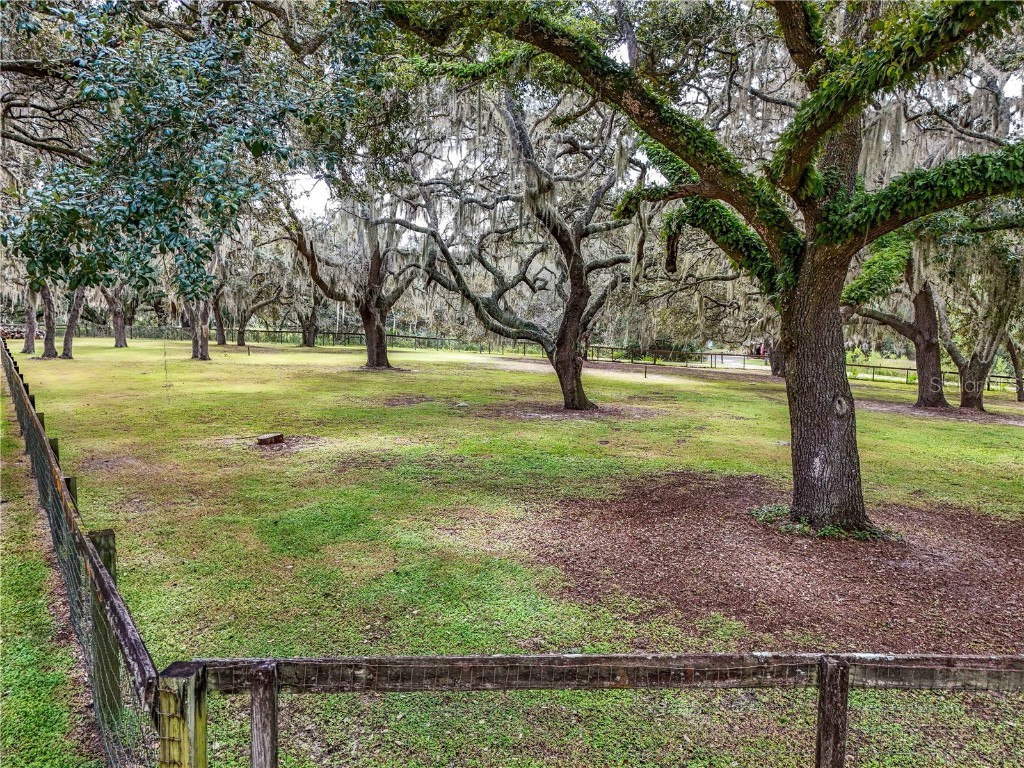 41812 Catbrier Lane Umatilla FL 32784 G5102848 image67