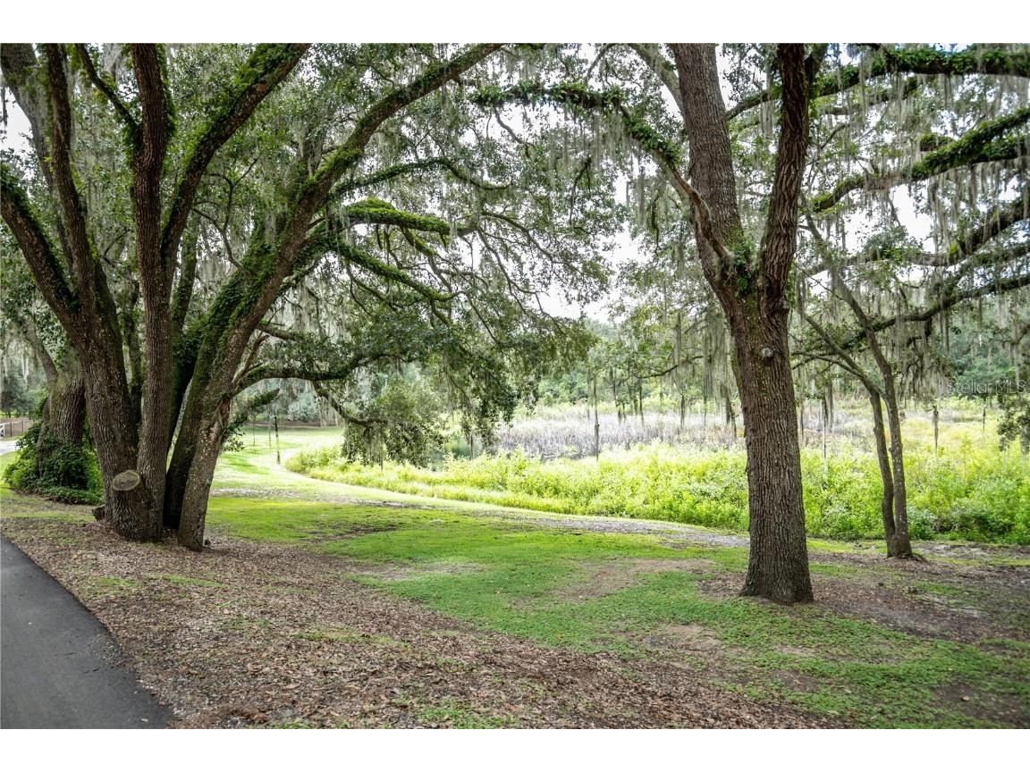 41812 Catbrier Lane Umatilla FL 32784 G5102848 image9