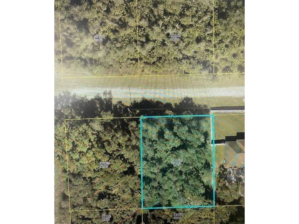 4182 E 30th Street Alva FL 33920 T3432473 image1