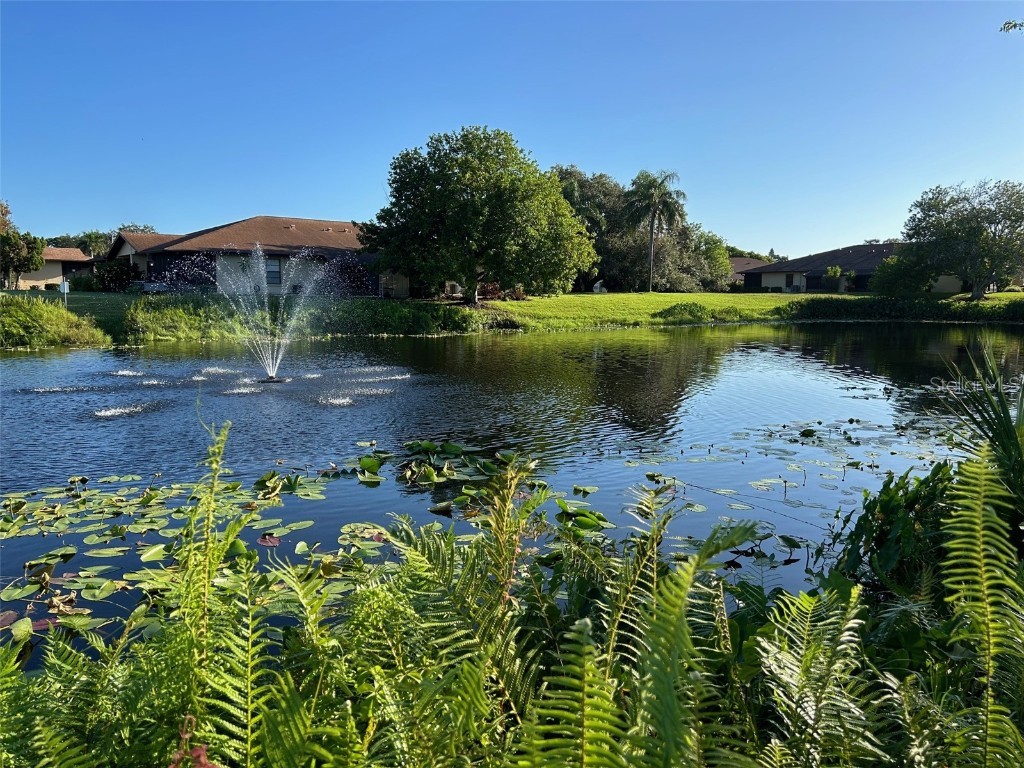 4183 66th Street Circle W #4183 Bradenton FL 34209 A4670511 image52