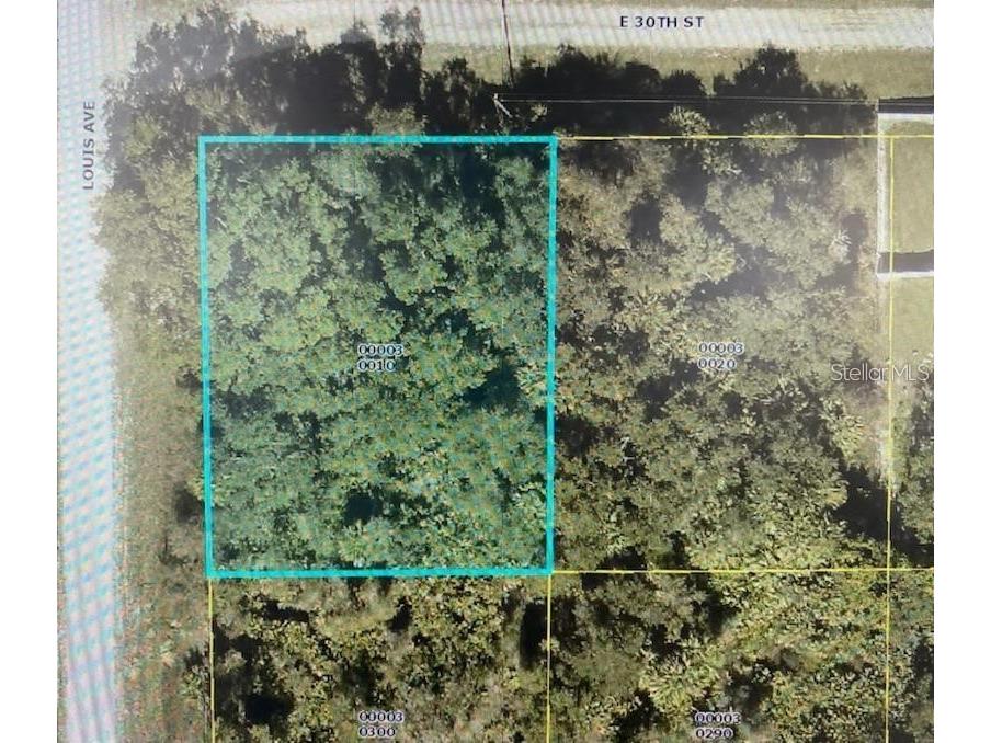 4184 E 30th Street Alva FL 33920 T3433148 image1