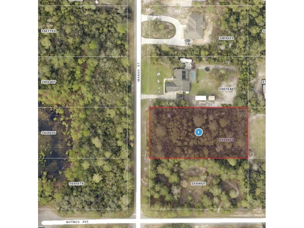 41842 Mango Street Eustis FL 32736 - LAKE NORRIS ST JOHNS RIVER G5083642 image1