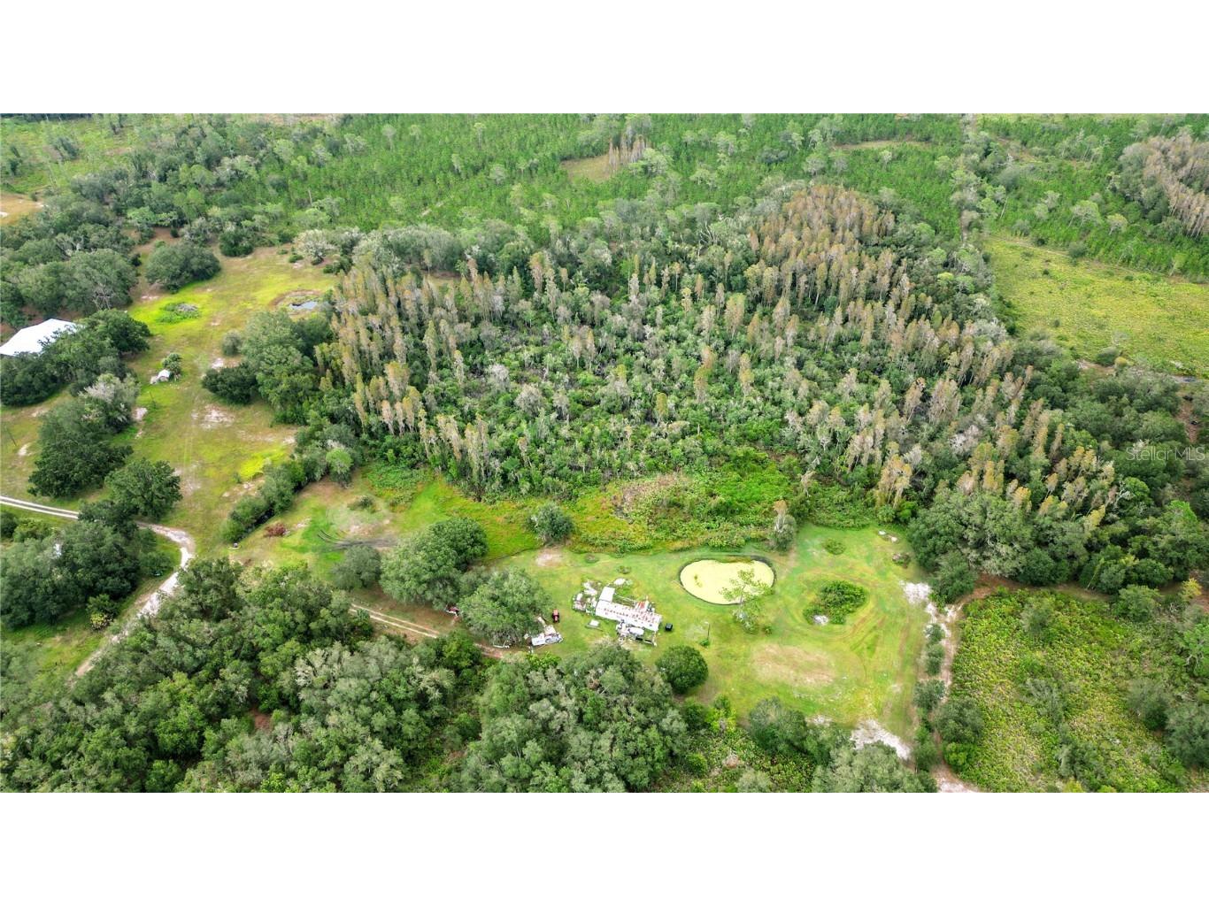 41848 Gator Lane Zephyrhills FL 33540 T3411574 image1