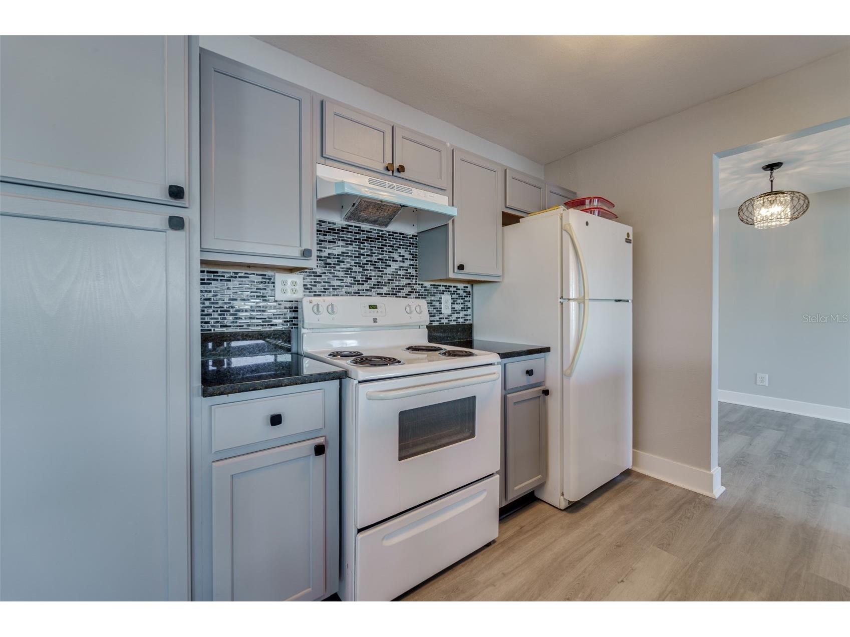 4185 96th Terrace N #2 Pinellas Park FL 33782 - UNIT 2 POND TB8474245 image10