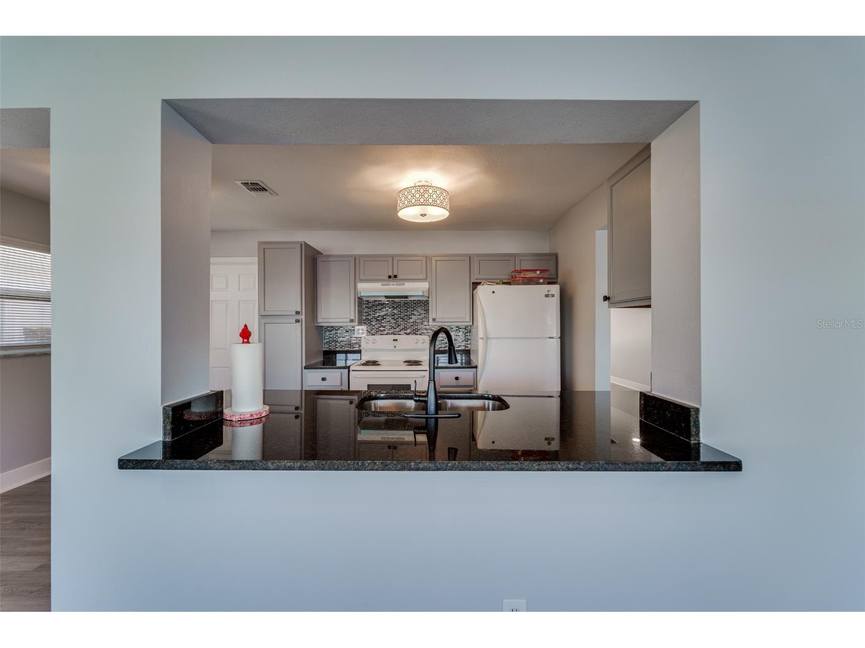 4185 96th Terrace N #2 Pinellas Park FL 33782 - UNIT 2 POND TB8474245 image12
