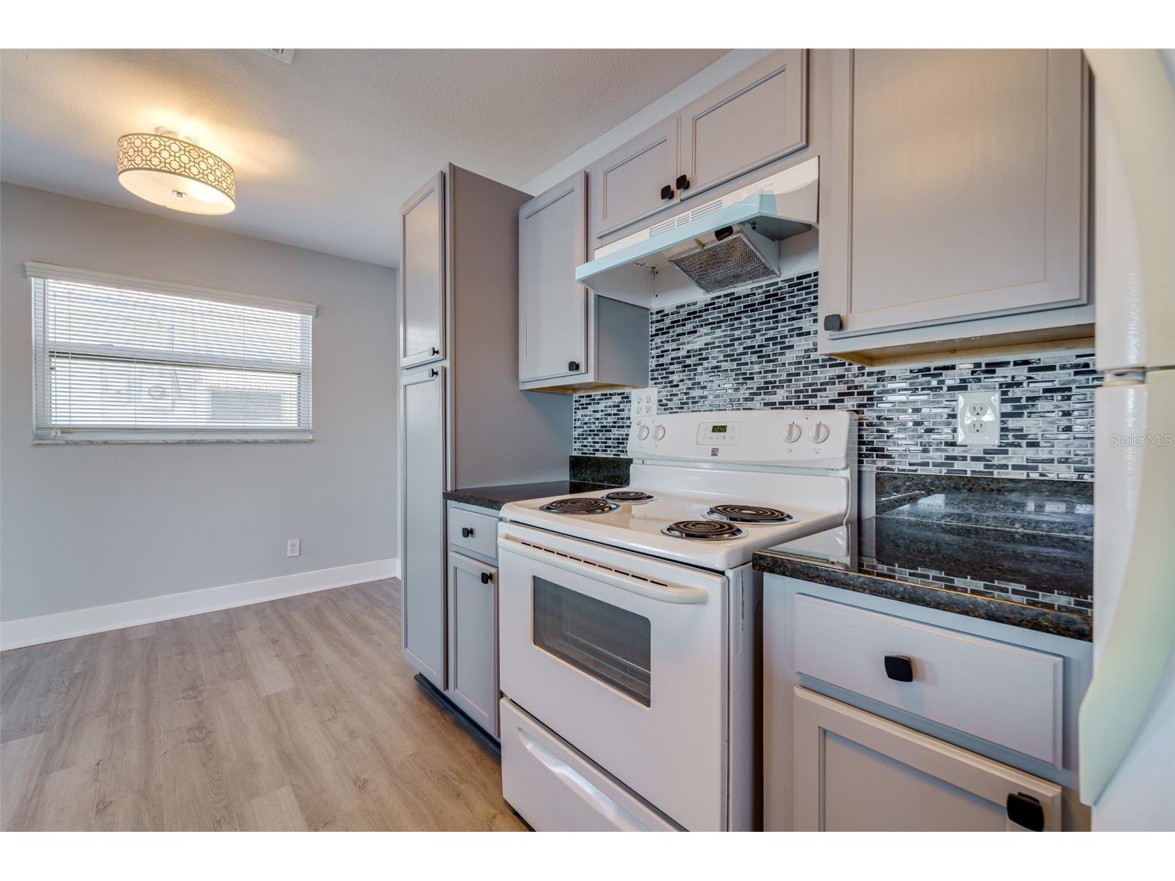 4185 96th Terrace N #2 Pinellas Park FL 33782 - UNIT 2 POND TB8474245 image15