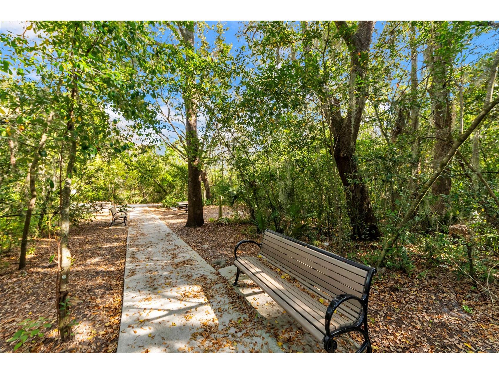 4188 Hanover Drive New Port Richey FL 34653 TB8487662 image44