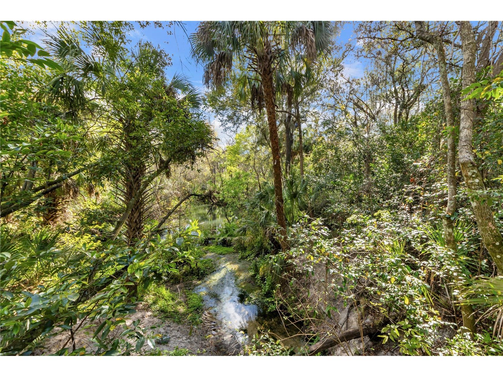 4188 Hanover Drive New Port Richey FL 34653 TB8487662 image45