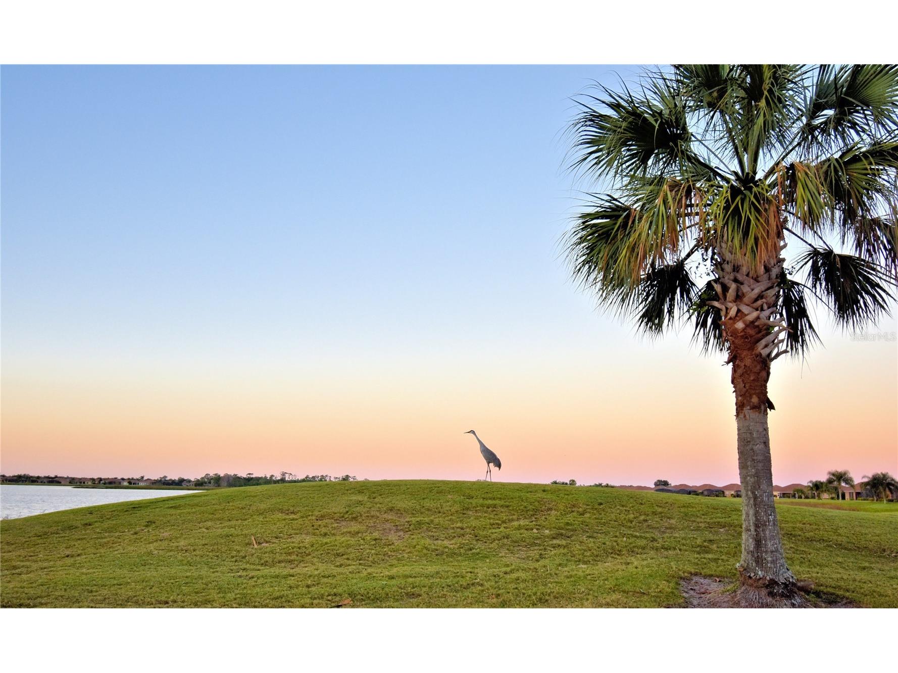 4188 Muirfield Loop Lake Wales FL 33859 - Retention pond L4953642 image51
