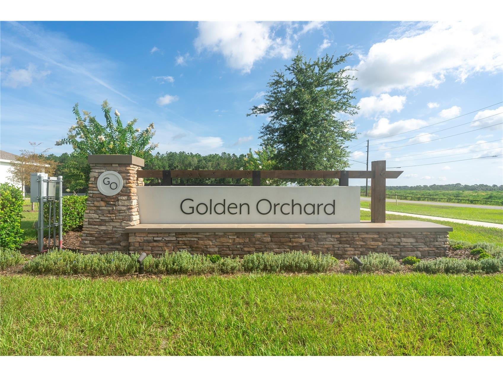 4189 Jespersen Street Apopka FL 32712 O6423202 image3