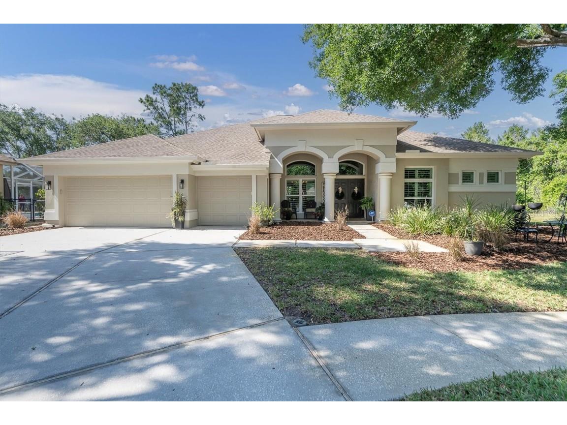 4189 Moreno Drive Palm Harbor FL 34685 U8241367 image1