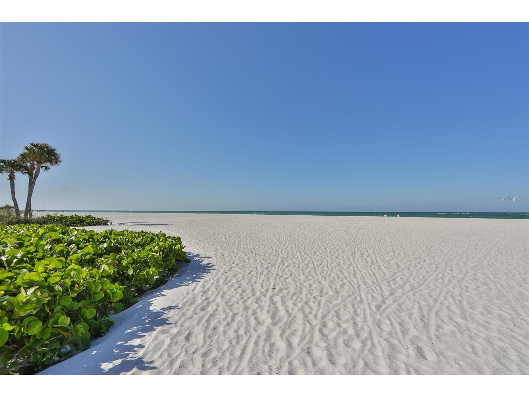 419 12th Avenue Indian Rocks Beach FL 33785 TB8486560 image42