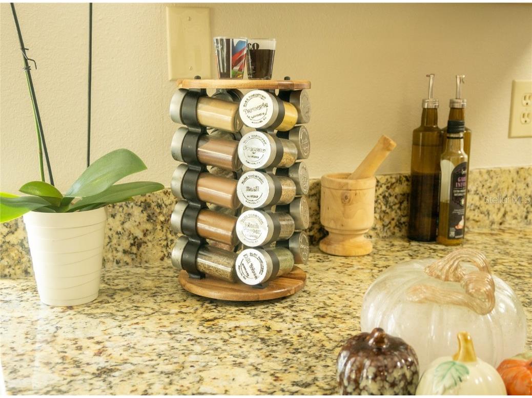 419 Bloomingfield Drive Brandon FL 33511 TB8404392 image13