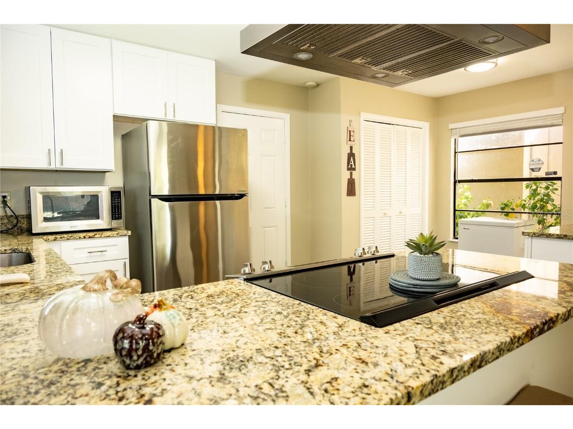 419 Bloomingfield Drive Brandon FL 33511 TB8404392 image14