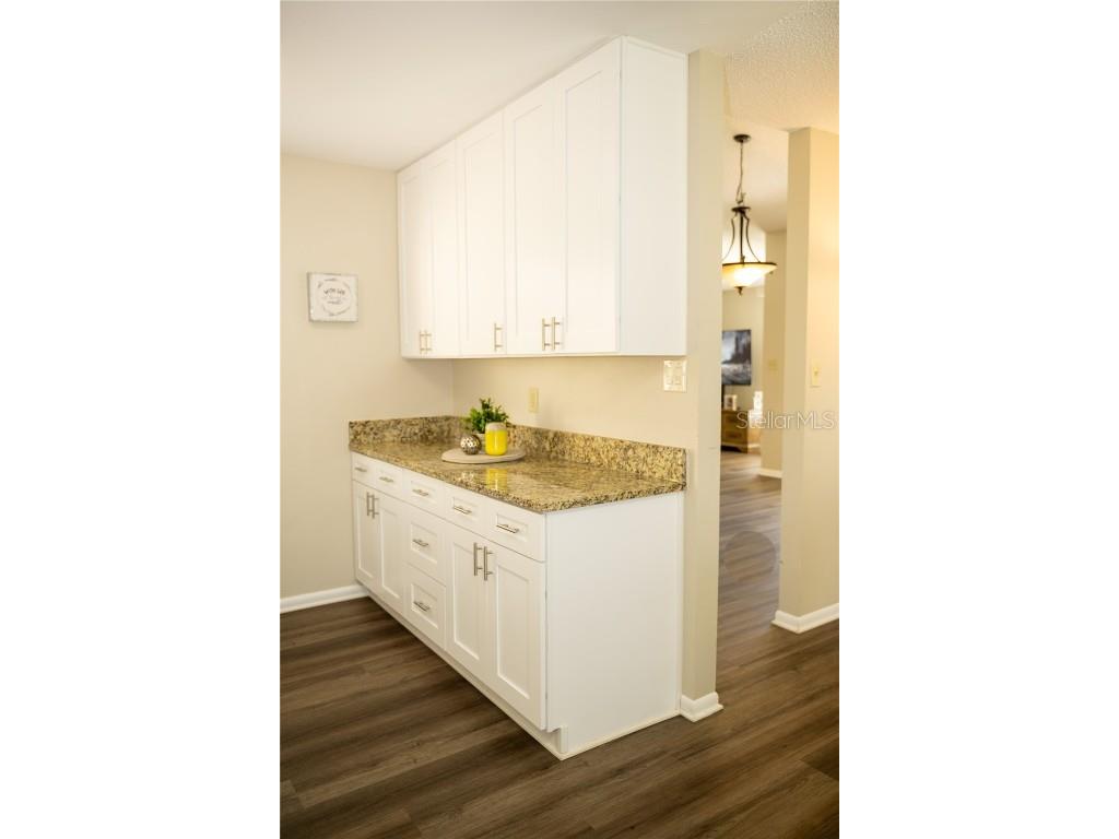 419 Bloomingfield Drive Brandon FL 33511 TB8404392 image18