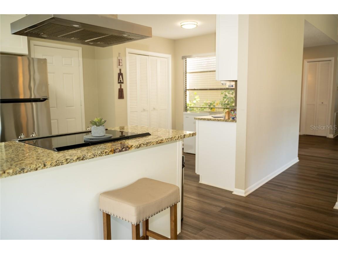 419 Bloomingfield Drive Brandon FL 33511 TB8404392 image21