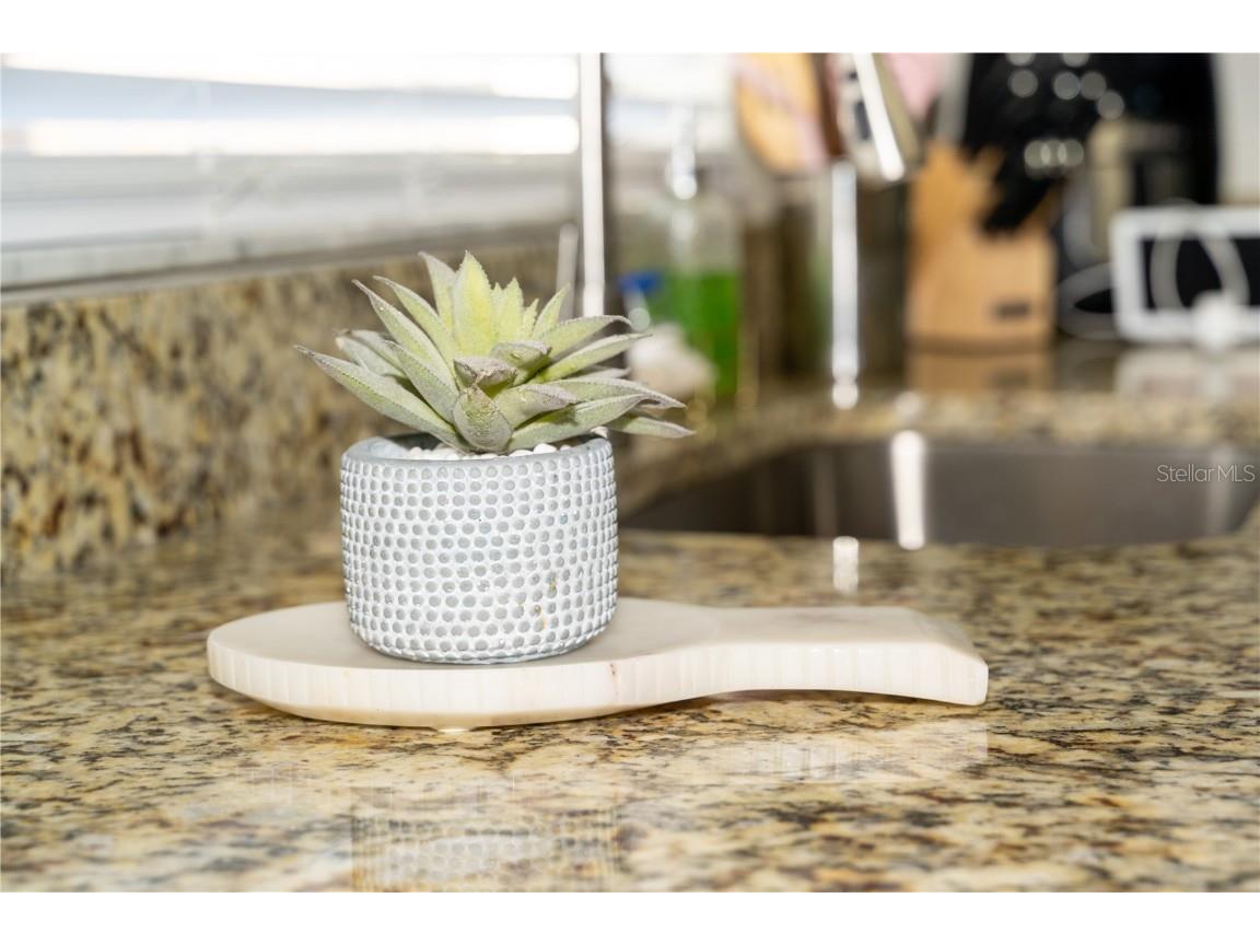 419 Bloomingfield Drive Brandon FL 33511 TB8404392 image27