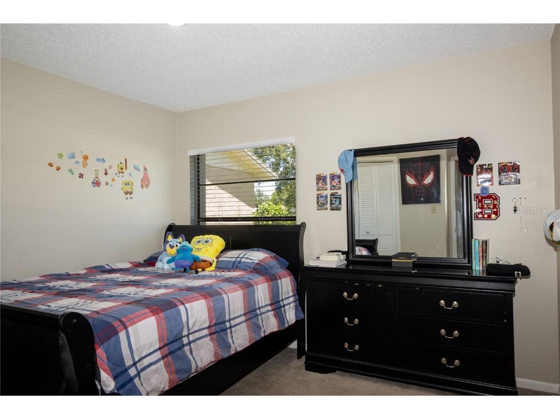 419 Bloomingfield Drive Brandon FL 33511 TB8404392 image28