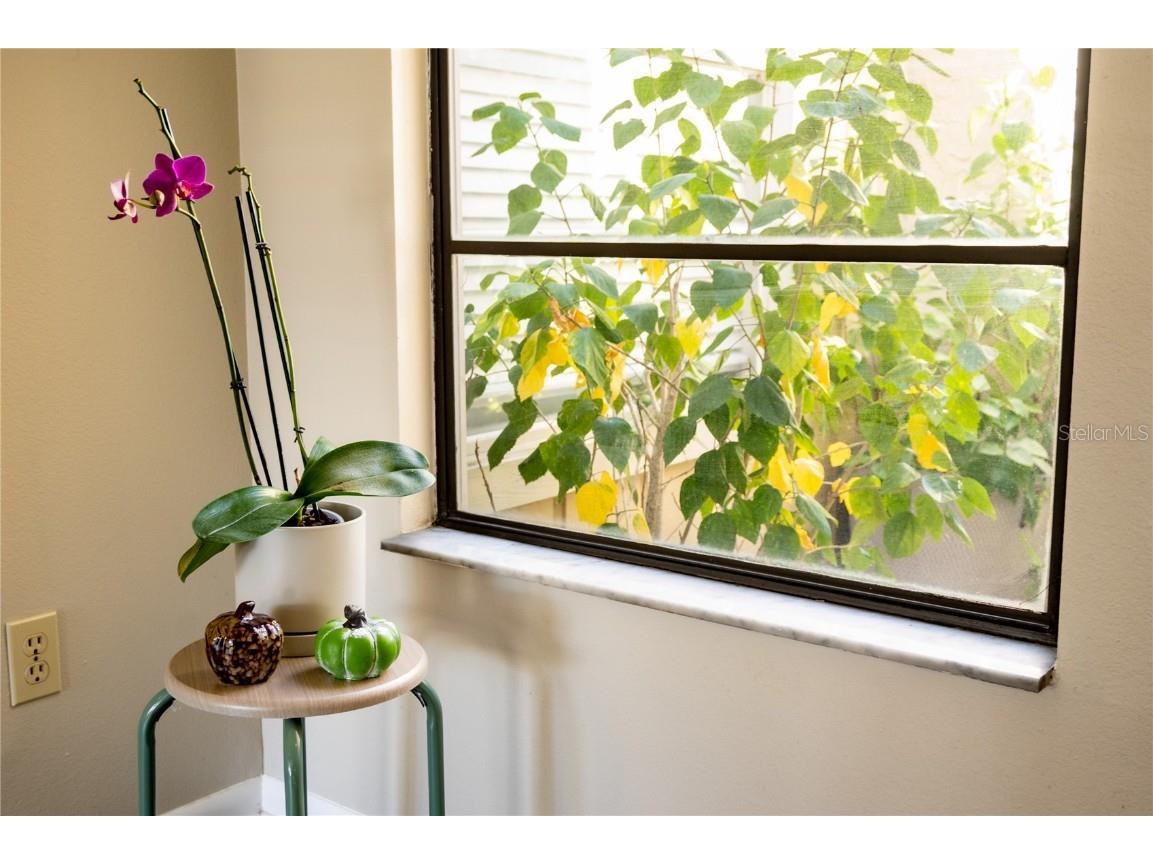 419 Bloomingfield Drive Brandon FL 33511 TB8404392 image40