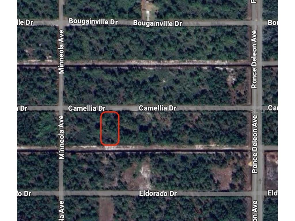 419 Camellia Drive Indian Lake Estates FL 33855 - LAKE WEOHYAKAPKA GC527610 image1