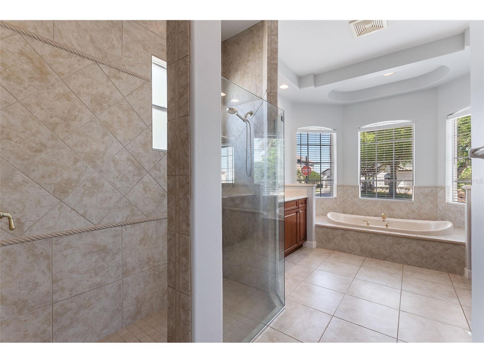 419 Chelsea Avenue Davenport FL 33837 TB8497544 image54