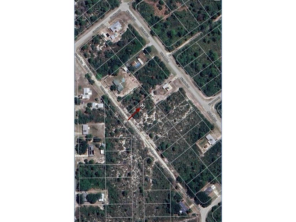 419 Durham Avenue Lake Placid FL 33852 O6345702 image1