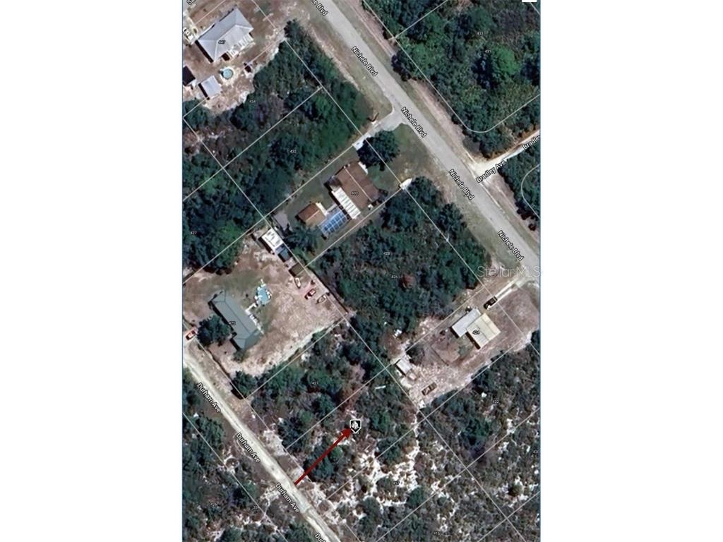 419 Durham Avenue Lake Placid FL 33852 O6345702 image3