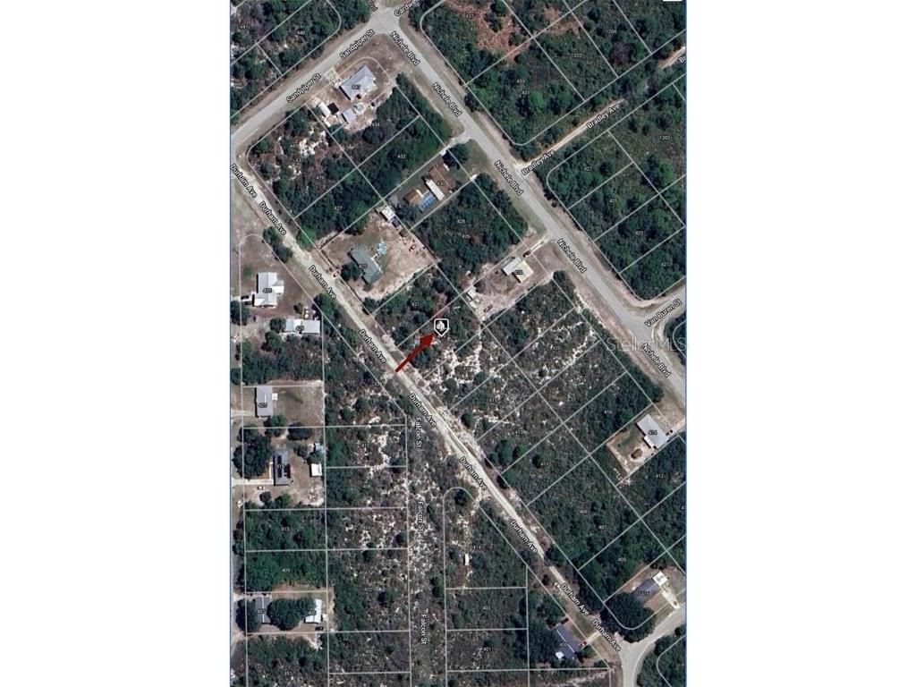 419 Durham Avenue Lake Placid FL 33852 O6345702 image4