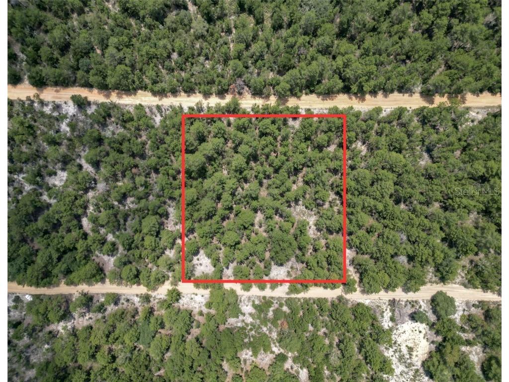 419 Flagler Drive Interlachen FL 32148 OM684511 image1