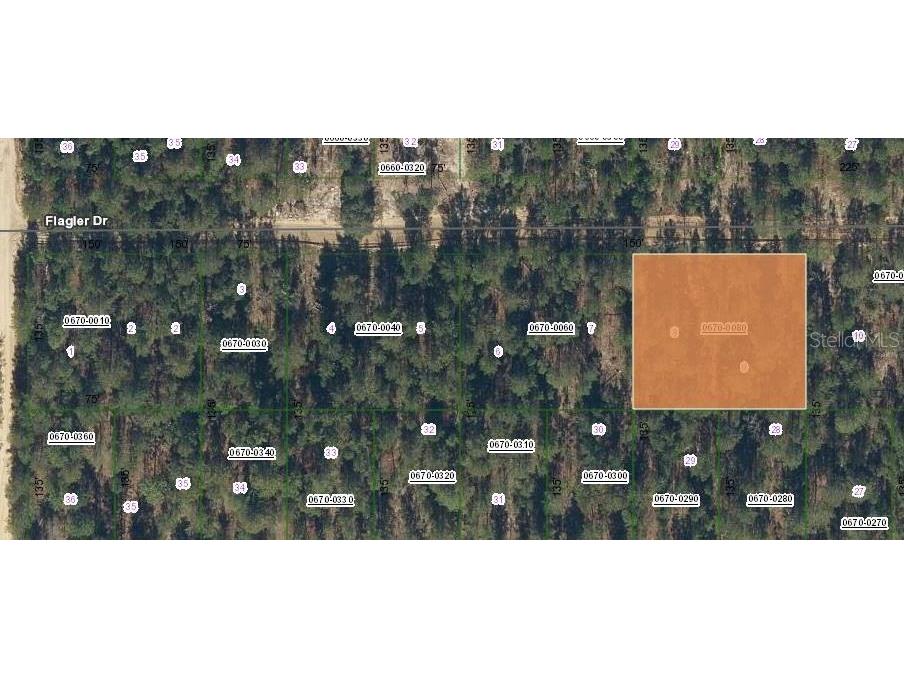 419 Flagler Drive Interlachen FL 32148 OM699785 image1