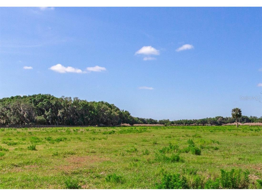 419 Jameson Road Lithia FL 33547 T3524255 image1