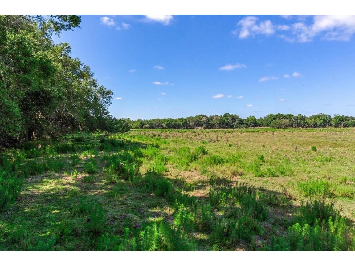 419 Jameson Road Lithia FL 33547 T3524255 image10