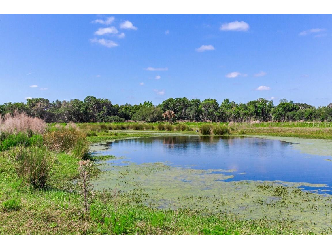 419 Jameson Road Lithia FL 33547 T3524255 image11