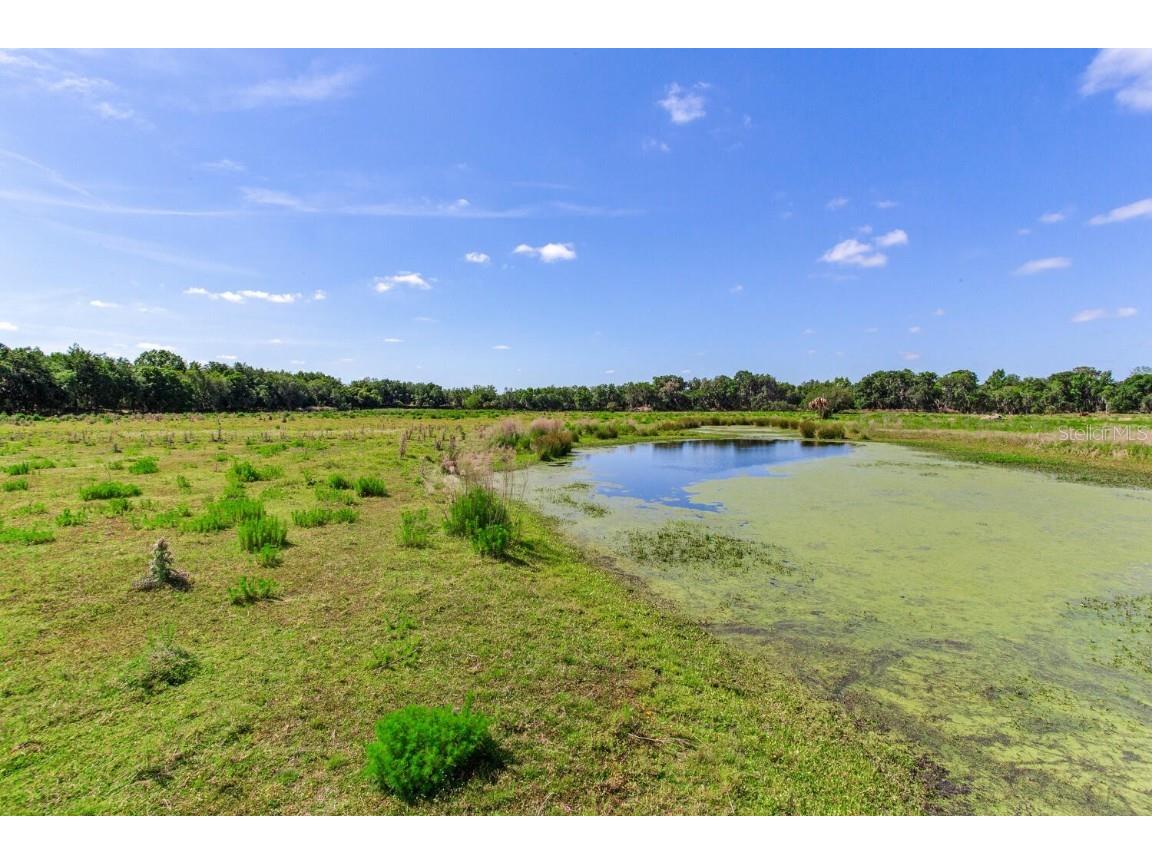 419 Jameson Road Lithia FL 33547 T3524255 image12