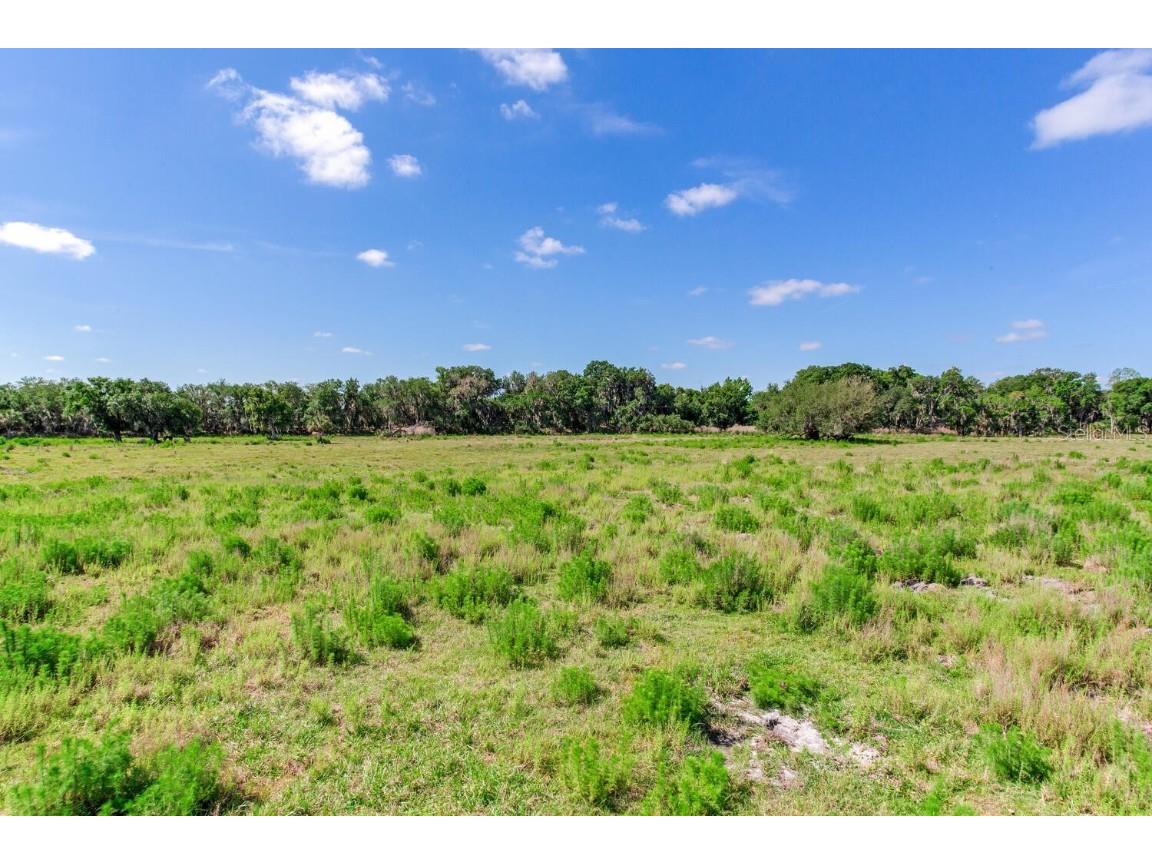 419 Jameson Road Lithia FL 33547 T3524255 image13