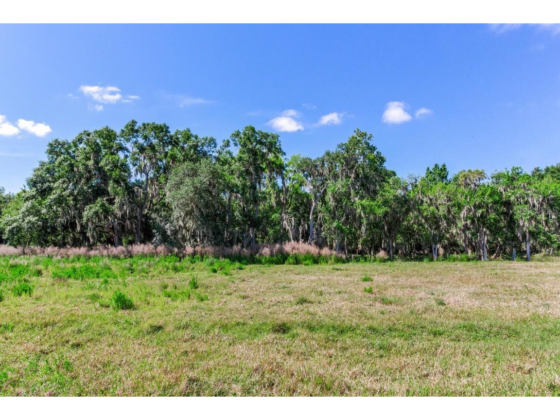 419 Jameson Road Lithia FL 33547 T3524255 image14