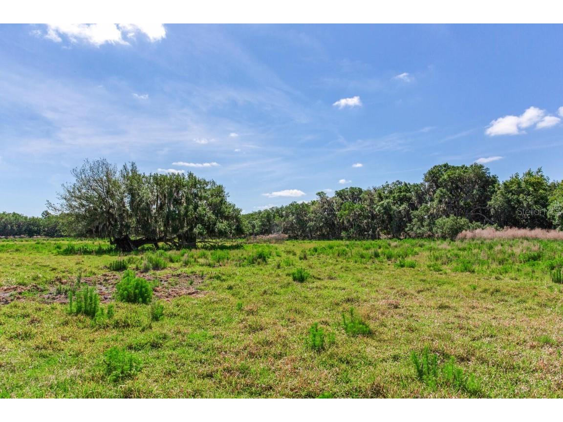 419 Jameson Road Lithia FL 33547 T3524255 image15