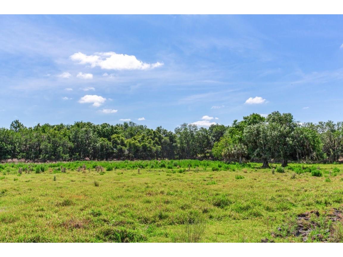 419 Jameson Road Lithia FL 33547 T3524255 image16