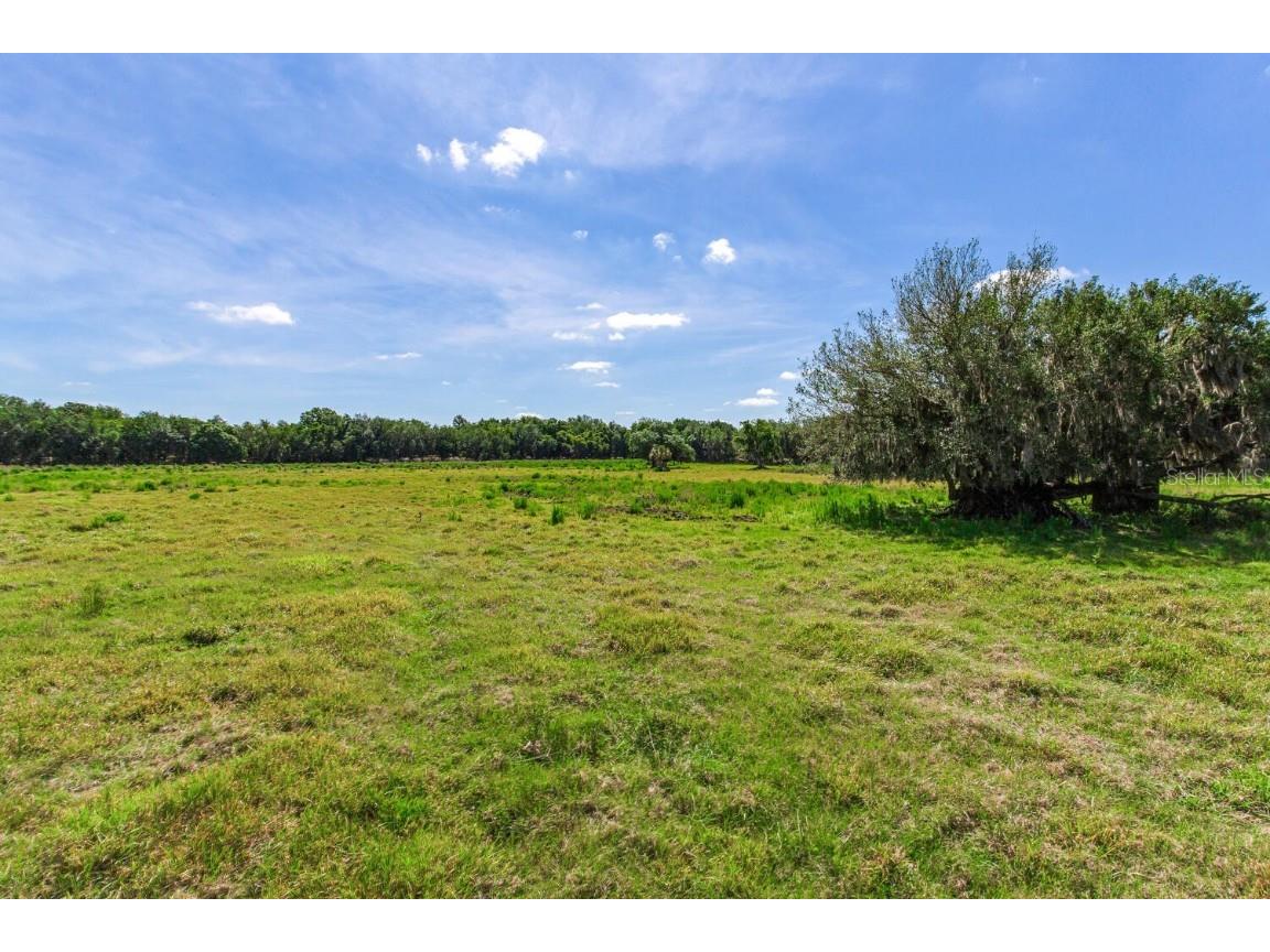 419 Jameson Road Lithia FL 33547 T3524255 image2