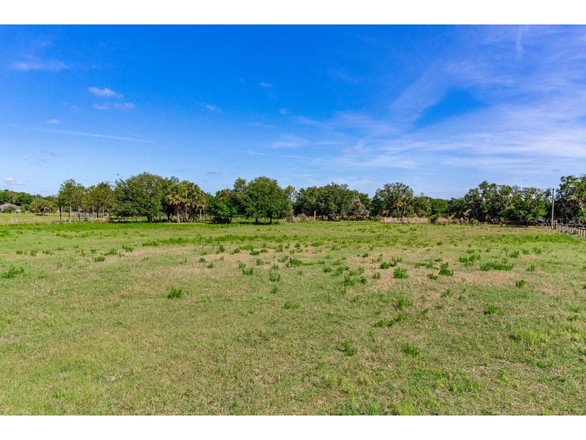 419 Jameson Road Lithia FL 33547 T3524255 image3