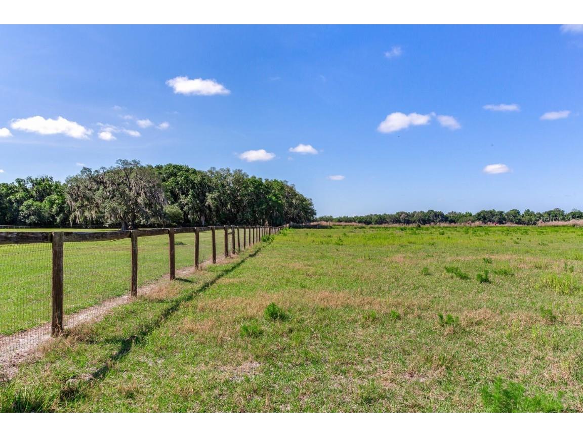 419 Jameson Road Lithia FL 33547 T3524255 image4