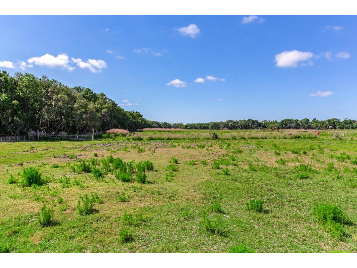 419 Jameson Road Lithia FL 33547 T3524255 image5