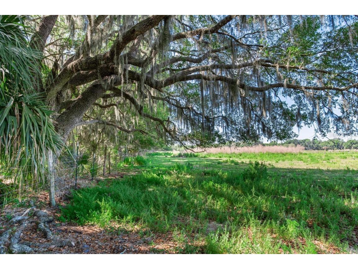 419 Jameson Road Lithia FL 33547 T3524255 image6