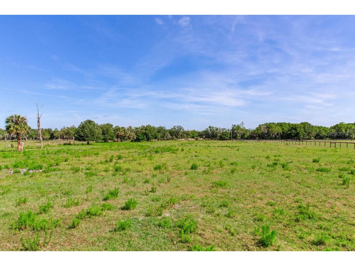 419 Jameson Road Lithia FL 33547 T3524255 image7