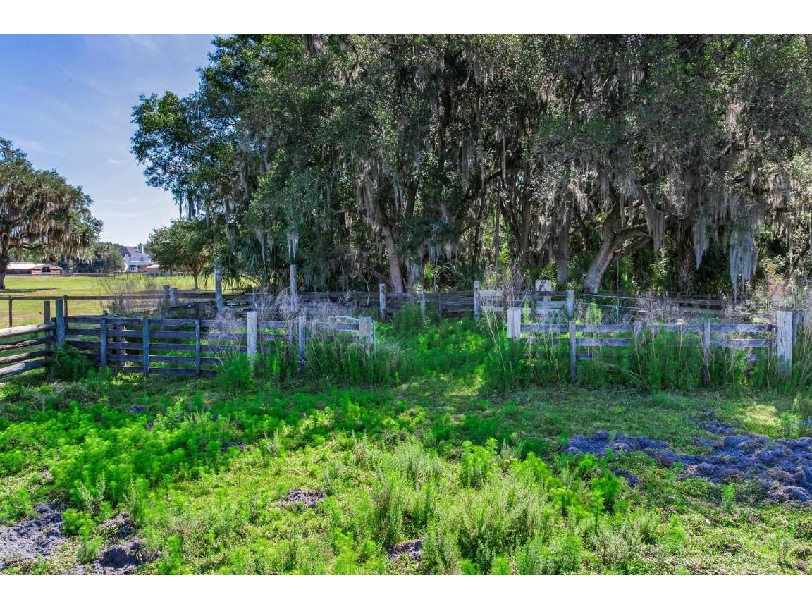 419 Jameson Road Lithia FL 33547 T3524255 image8