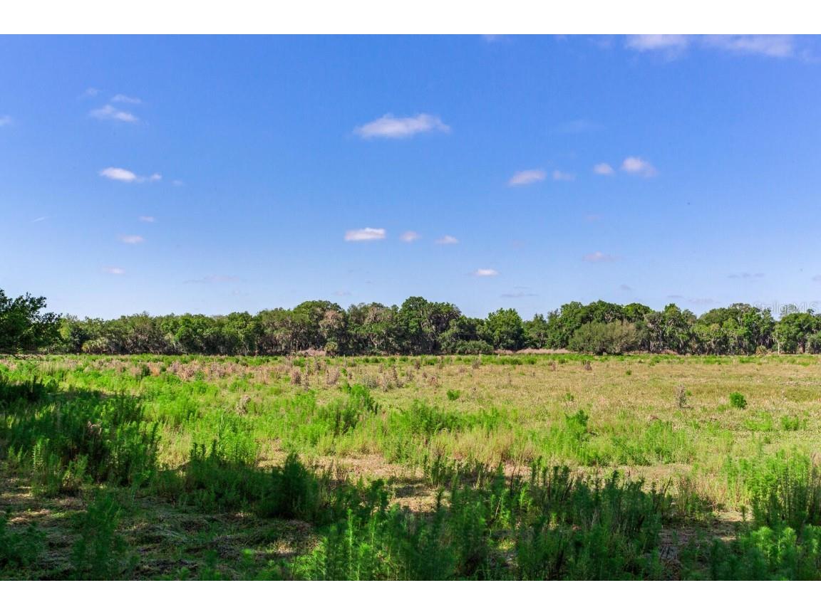 419 Jameson Road Lithia FL 33547 T3524255 image9