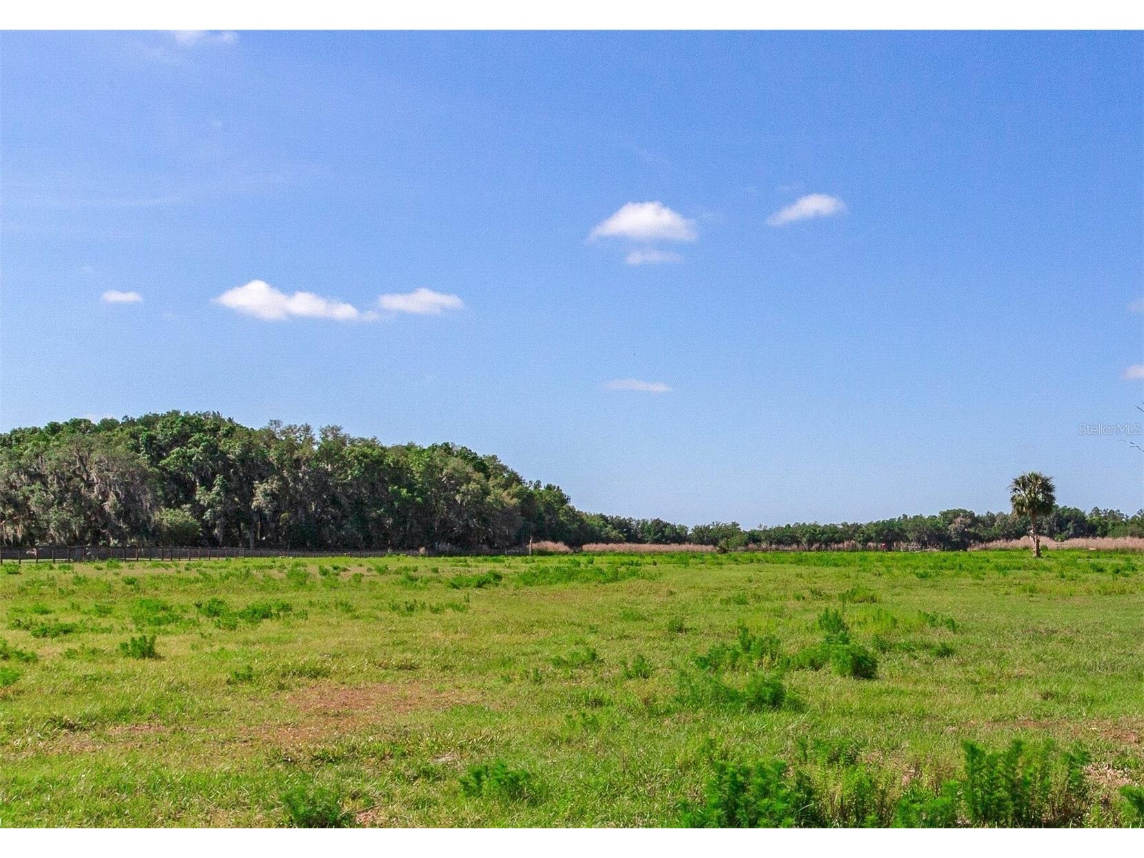 419 Jameson Road Lithia FL 33547 T3524255 image1